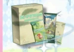 Qinglan Ghibli Echoes Of The Wind Collection Card Box
